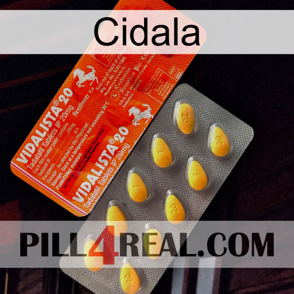 Cidala new01